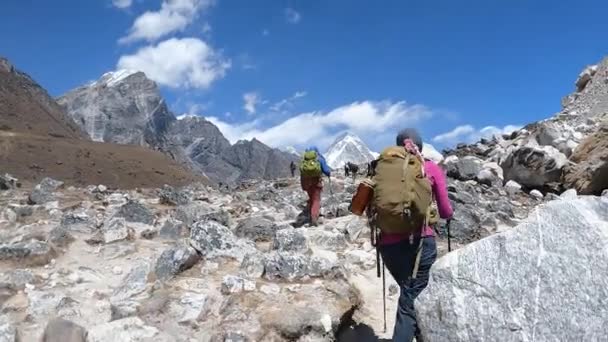Profesyonel Dağcılar Lhotse Dağı Zirvesine Doğru Yoldalar Himalaya Zirvesi Mpuntaineers — Stok video