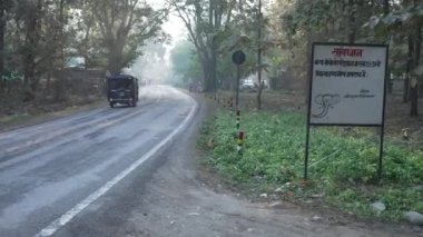 Dehradun, Uttarakhand India June 1 2022. Jungle safari in Jim Corbett national park in an open four-wheeler car. High-quality Apple Prores 29.97 FPS 4k footage.