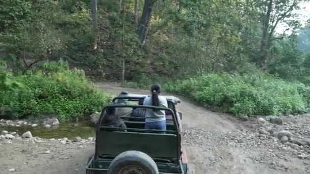 Dehradun Uttarakhand India June 2022 Jungle Safari Jim Corbett National — Stock Video