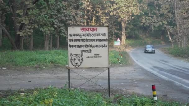 Dehradun Uttarakhand India June 2022 Jungle Safari Jim Corbett National — Wideo stockowe