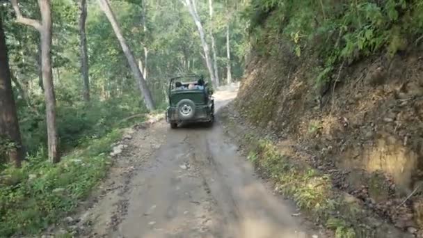 Dehradun Uttarakhand India June 2022 Jungle Safari Jim Corbett National — Video Stock