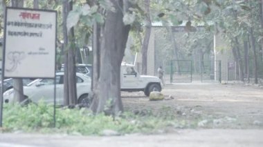 Sign board on the road for the tourist and transportation in the Dense forest of Jim Corbett national park. High-quality Apple Prores 4k footage.