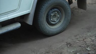 Forest officials patrolling in Jim Corbett national park in India to protect animals from poachers. HQ Apple Prores 60 FPS 4k footage.