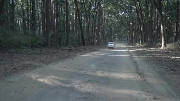 Dehradun Uttarakhand India June 2022 Forest Officials Patrol Protect Animals — Wideo stockowe