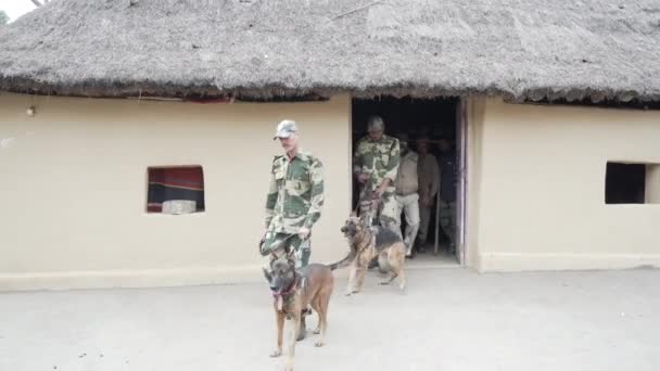 Dehradun Uttarakhand India June 2022 Forest Officials Patrol Dogs Protect — Wideo stockowe