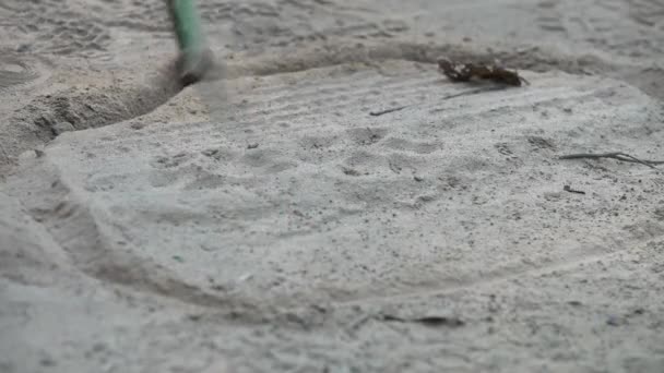 Forest Officials Find Footprints Tigers While Patrolling Jim Corbett National — Vídeo de stock