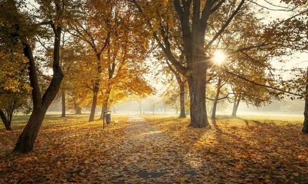 Prachtig Stadspark Herfst — Stockfoto