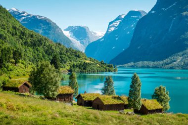 Panorama of norwegian landscape with traditional farm village clipart