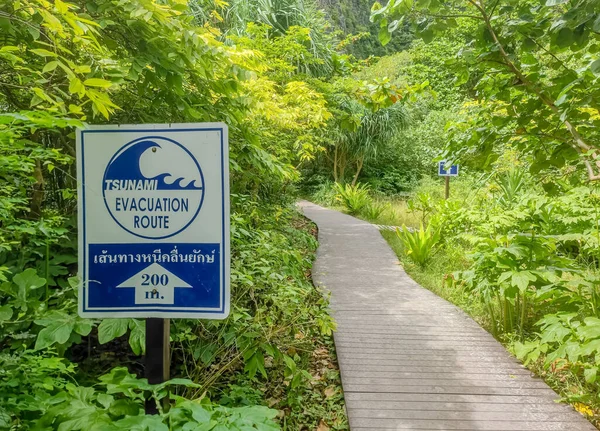 Sign showing tsunami evacuation route in a middle of jungle. Showing to go 50 meters straight