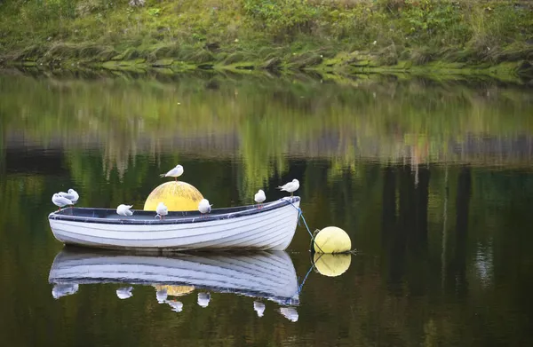 Лодка в озере для спокойствия спокойной тишины и памятования — стоковое фото