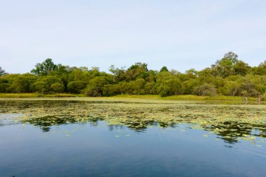 Lomond Gölü 'nde farkındalık boş arkaplan ve yansıma