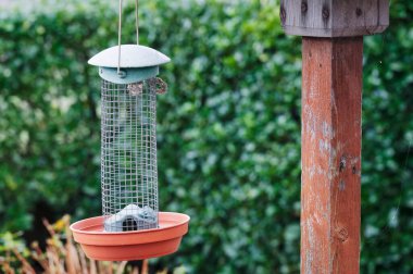 Bahçedeki kuş yuvasında boş kuş yemi asılı.