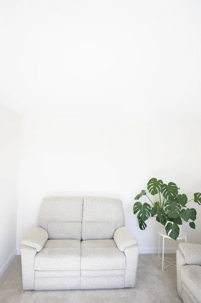 Planta verde Monstera en maceta blanca en hogar de decoración neutra — Foto de Stock