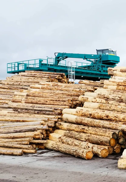 Sawmill Chopped Tree Wood Logs Stacks Row Machinery — Stockfoto