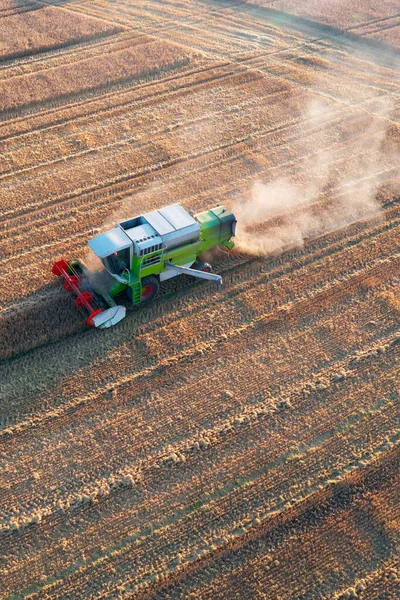 Combine Harvester Harvesting Crops Sunset Scotland — Fotografia de Stock