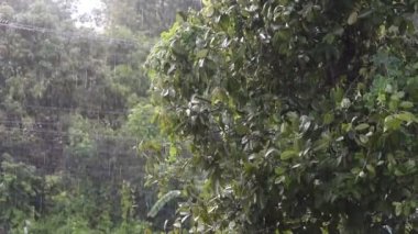 Arka planda yağmur, kırsalda yağmur, yağmur damlaları, mevsim arkaplanı.