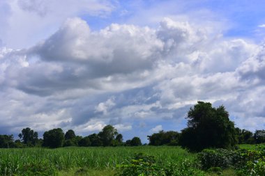 Güzel gökyüzü. Cumulonimbus bulutu ve sirrus bulutu