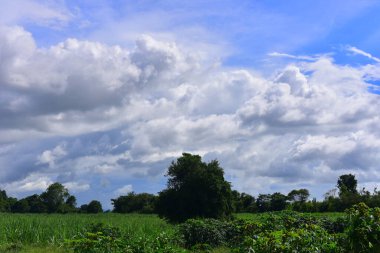 Güzel gökyüzü. Cumulonimbus bulutu ve sirrus bulutu