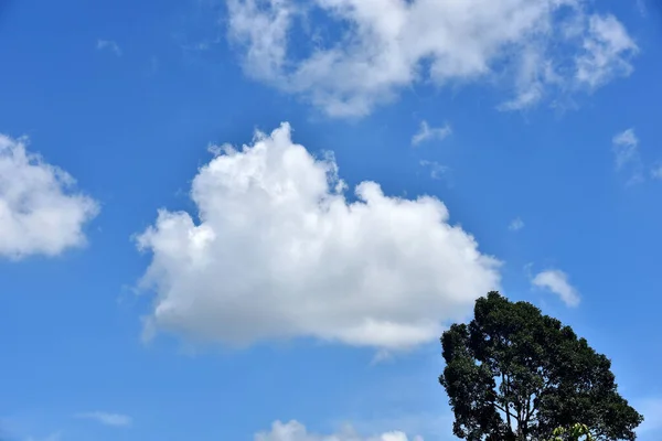 Schöner Himmel Cumulonimbuswolke Und Zirruswolke — Stockfoto