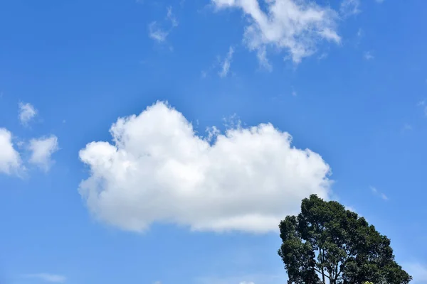 Schöner Himmel Cumulonimbuswolke Und Zirruswolke — Stockfoto