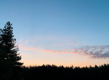Ormanda sabahın erken saatlerinde gün doğumu açık mavi ve pembe renklerden aydınlandı.