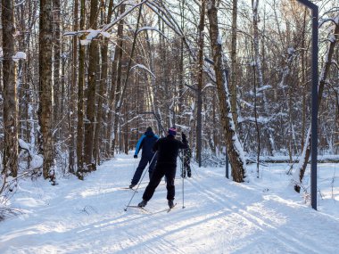 Active rest in winter. Cross-country skiing. Skiing. Exercise the muscles of the whole body. Fresh air. 