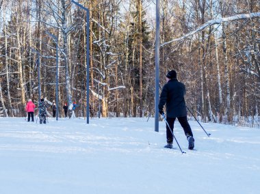Active rest in winter. Cross-country skiing. Skiing. Exercise the muscles of the whole body. Fresh air. 