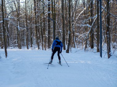 Active rest in winter. Cross-country skiing. Skiing. Exercise the muscles of the whole body. Fresh air.