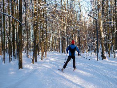 Active rest in winter. Cross-country skiing. Skiing. Exercise the muscles of the whole body. Fresh air.