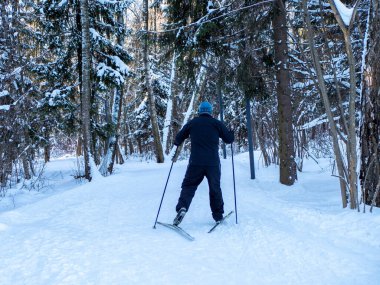 Active rest in winter. Cross-country skiing. Skiing. Exercise the muscles of the whole body. Fresh air.