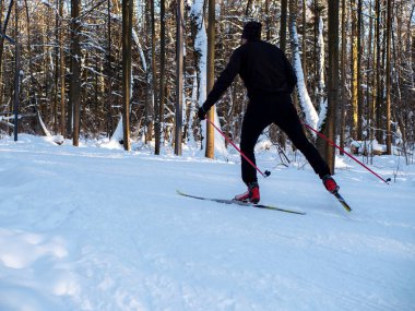 Active rest in winter. Cross-country skiing. Skiing. Exercise the muscles of the whole body. Fresh air.