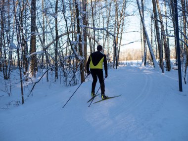 Active rest in winter. Cross-country skiing. Skiing. Exercise the muscles of the whole body. Fresh air.