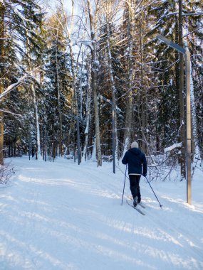 Active rest in winter. Cross-country skiing. Skiing. Exercise the muscles of the whole body. Fresh air.