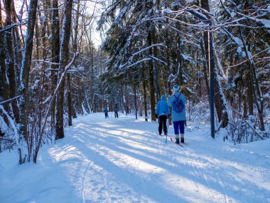 Kışın aktif dinlenme. Kros kayağı. Kayak yapıyorum. Tüm vücudun kaslarını çalıştır. Temiz hava. Ormanın güzelliği. Kayak Parçası.