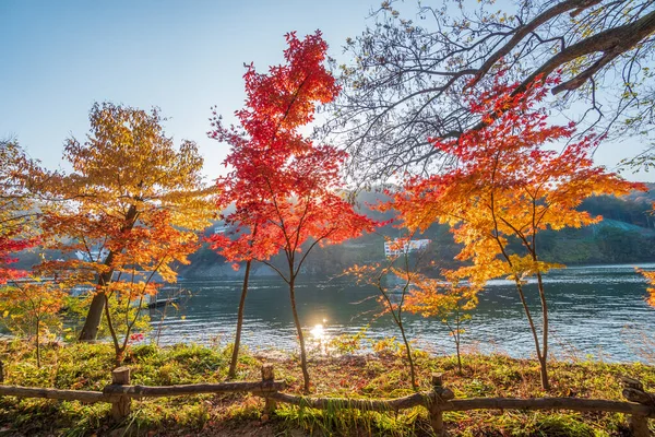 In Korea, autumn falls in the months of September, October, and November. Offering clear cool and crisp weather and the beautiful autumn foliage, autumn is the best time to visit Korea