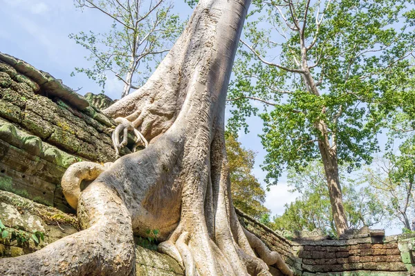 Cambodia Country Located Southern Portion Indochinese Peninsula Southeast Asia 181 — Photo