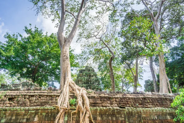 Cambodia Country Located Southern Portion Indochinese Peninsula Southeast Asia 181 — Stock Photo, Image