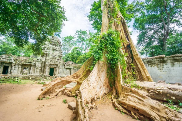 Cambodia Country Located Southern Portion Indochinese Peninsula Southeast Asia 181 — Photo