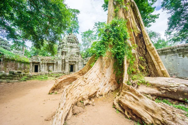 Cambodia Country Located Southern Portion Indochinese Peninsula Southeast Asia 181 — Photo