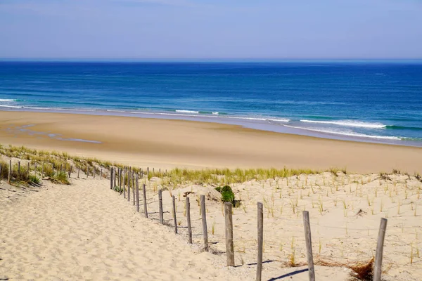 Песчаная Дорожка Путь Атлантический Пляж Песчаных Дюнах Лаканау Океан Франция — стоковое фото