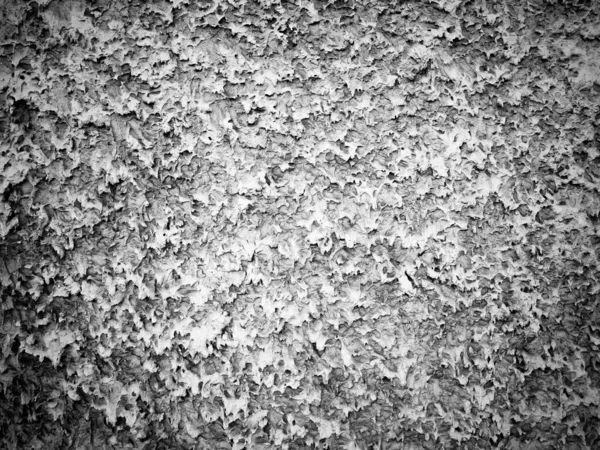 Vieja Pared Enyesada Desgastada Agrietada Texturas Fondo Grueso Blanco Negro — Foto de Stock