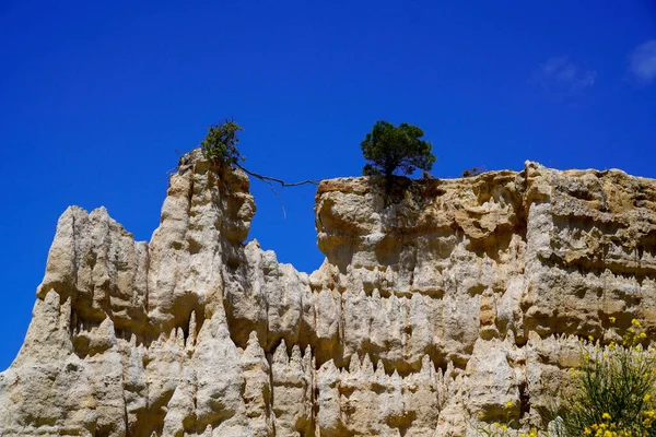 Las Orgues Ille Sur Tet Columnas Roca Blanda Geológica Natural — Foto de Stock