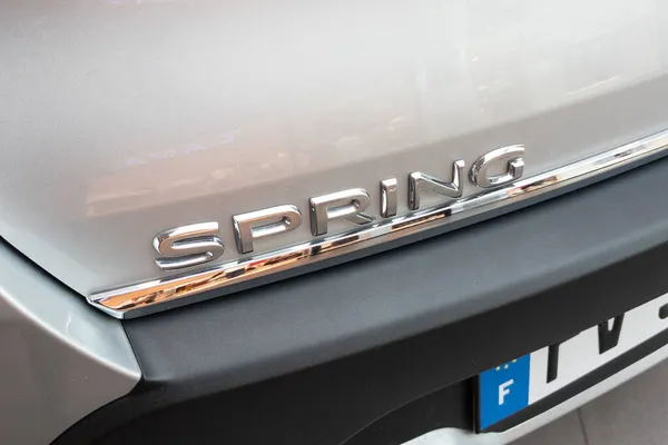 Bordeaux Aquitaine France 2021 Dacia Spring Electric Logo Brand Text — 스톡 사진