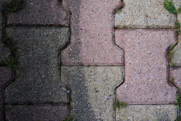 Garden Pavement Paved Path Floor Slabs Interlock Half Clean Dirty — Stock Photo, Image