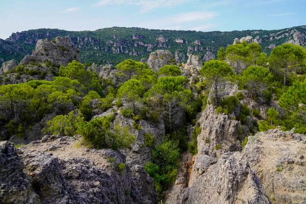 Dolomites Moureze Herault Region Rock Stones Peaks Different Sizes Forest — Fotografia de Stock