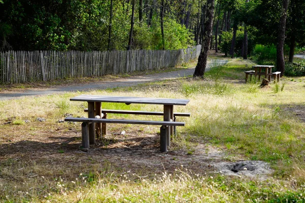 Single Wood Bench Pic Nic Wooden Table Empty Forest Park — Zdjęcie stockowe
