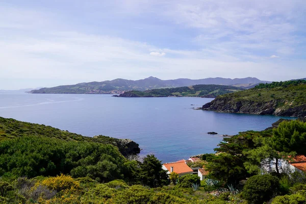 Site Classé Baie Anse Paulilles Méditerranée Port Vendres Occitanie Française — Photo