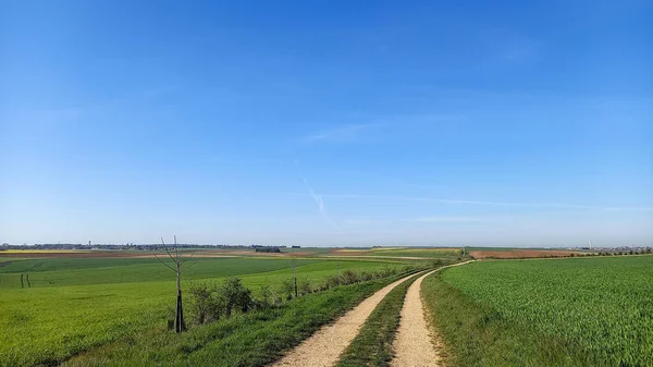 Chemin Terre Paysage Rural Panoramique Avec Ciel Bleu — Photo
