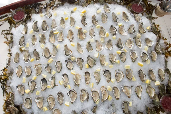 聚会上新鲜的冰牡蛎做牡蛎背景 — 图库照片