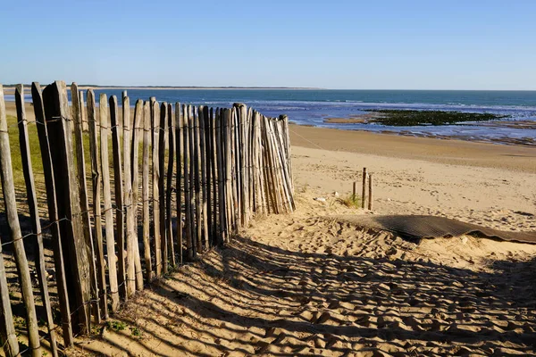 沙质海滩护栏通道 以保护沙丘及进入海水 — 图库照片